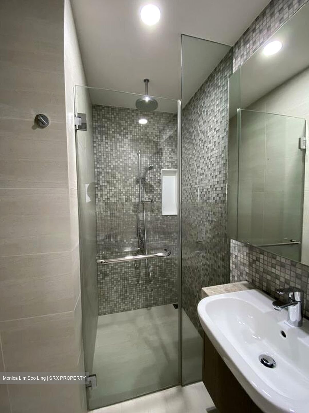 The Tembusu (D19), Condominium #457291161